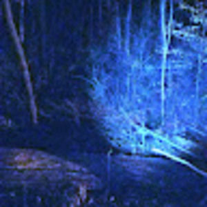 Meet your Posher, Dustin